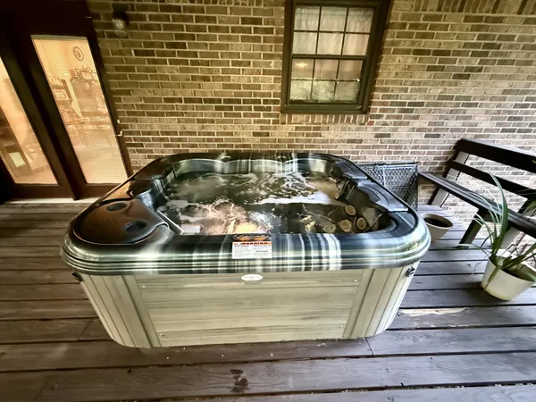 a view of a forest with a street