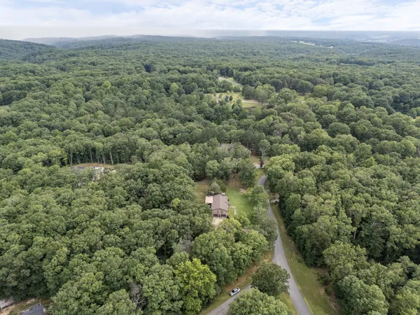 an aerial view of residential houses with outdoor space and trees