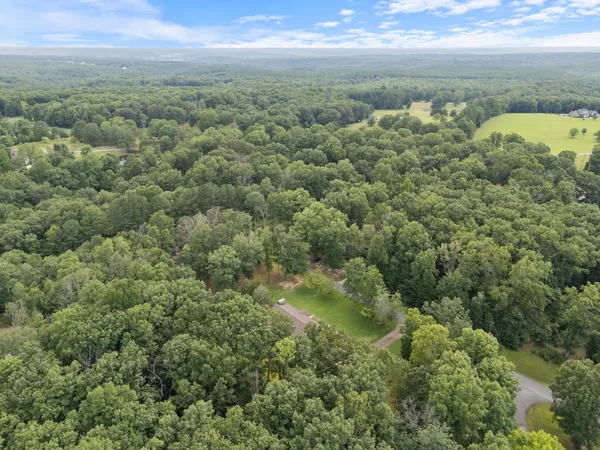 a view of a city with lush green forest