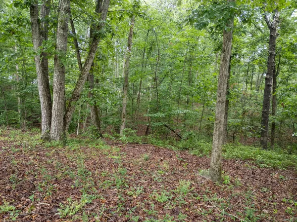 a view of a pool with a trees
