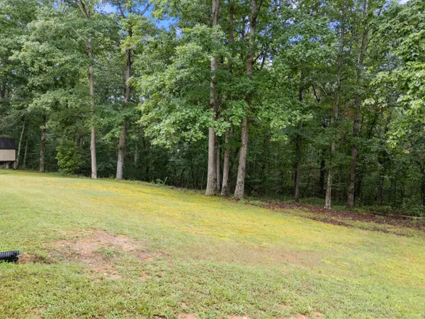 a view of a playground with a small yard