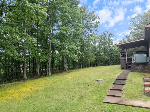 a view of a field with trees