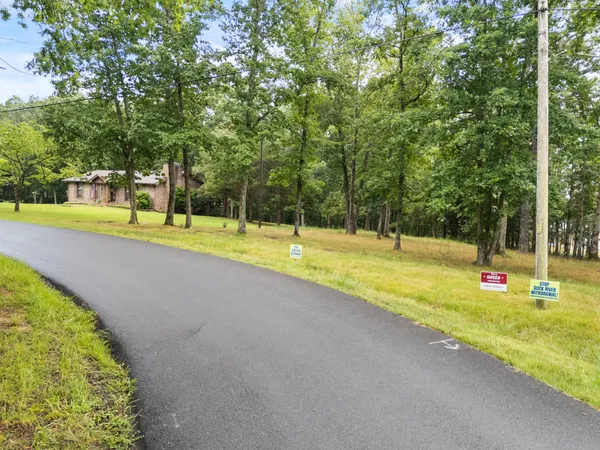 a view of a yard with a tree
