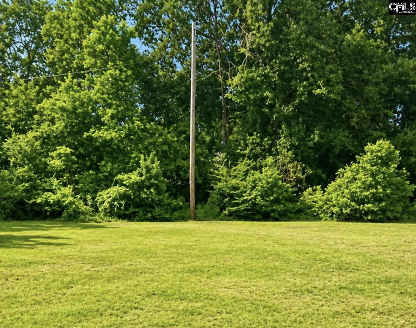 118 State Rd S-38-1224 Cordova, SC 29039 - Photo 11 of 12 a view of a yard