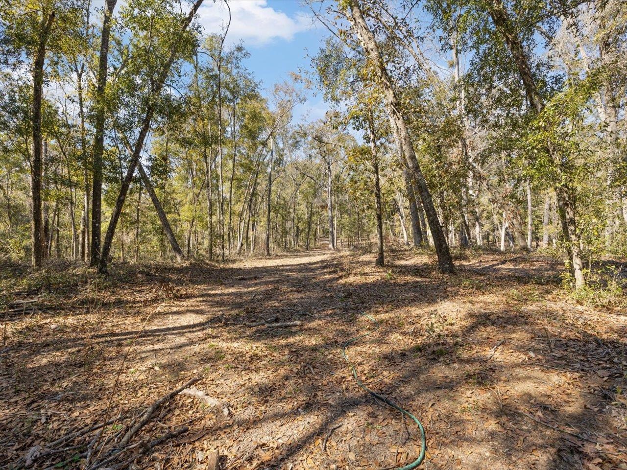 609 Northwest Circle Road Madison, FL 32340 - Photo 37 of 70