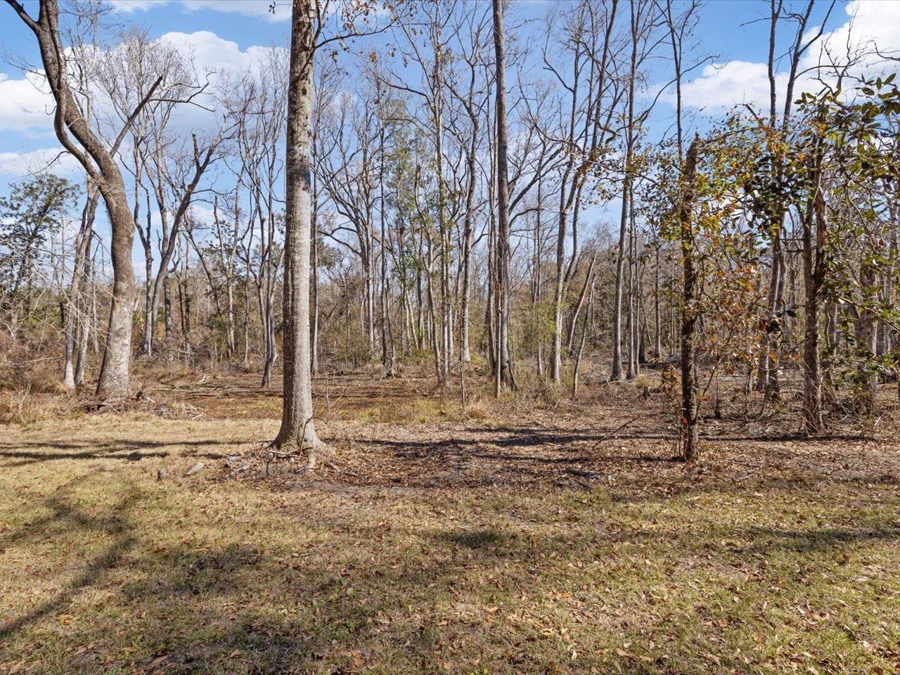 609 Northwest Circle Road Madison, FL 32340 - Photo 40 of 70