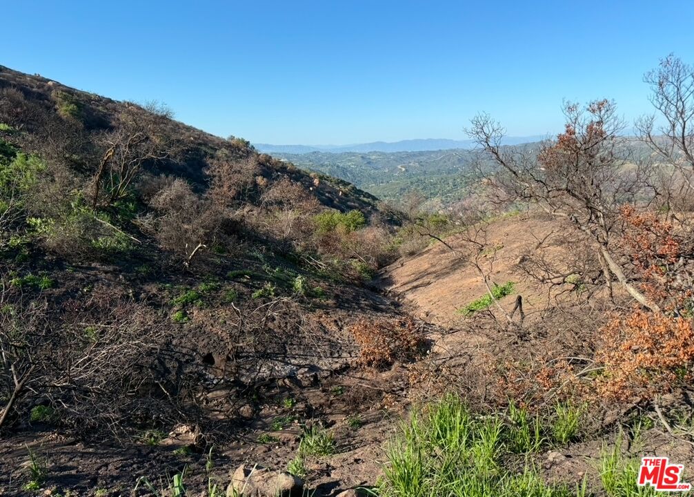 0 Fir Ridge Drive Topanga, CA 90290 - Photo 13 of 17