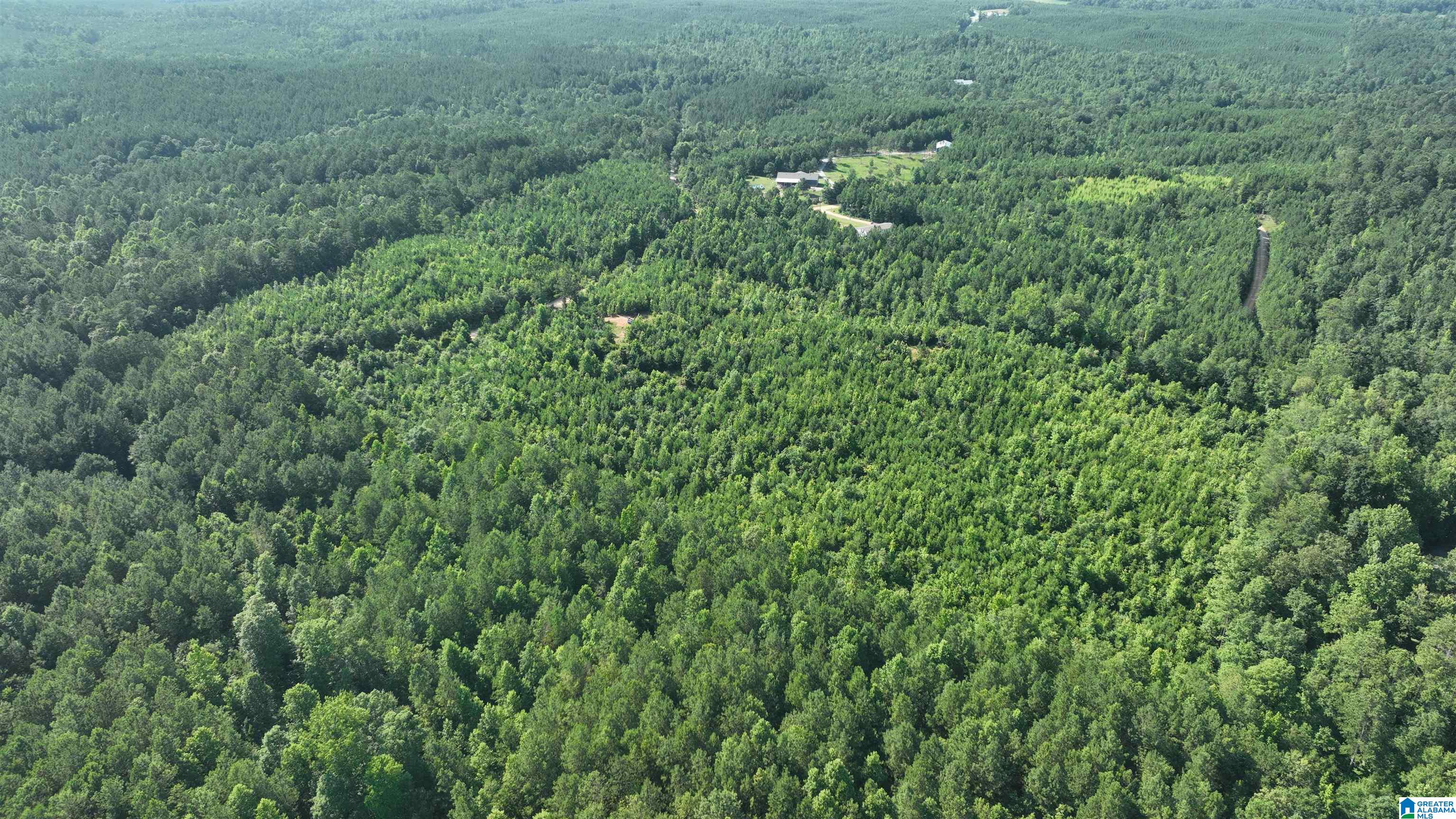 2 County Road 253, Unit 2 Clanton, AL 35046 - Photo 4 of 40