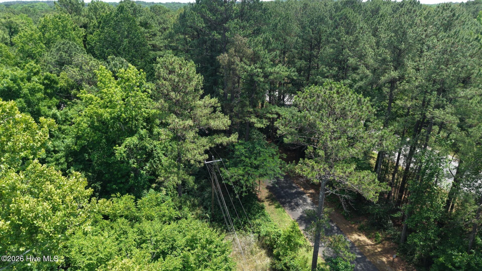0 Laurel Rdg Road Durham, NC 27705 - Photo 22 of 36