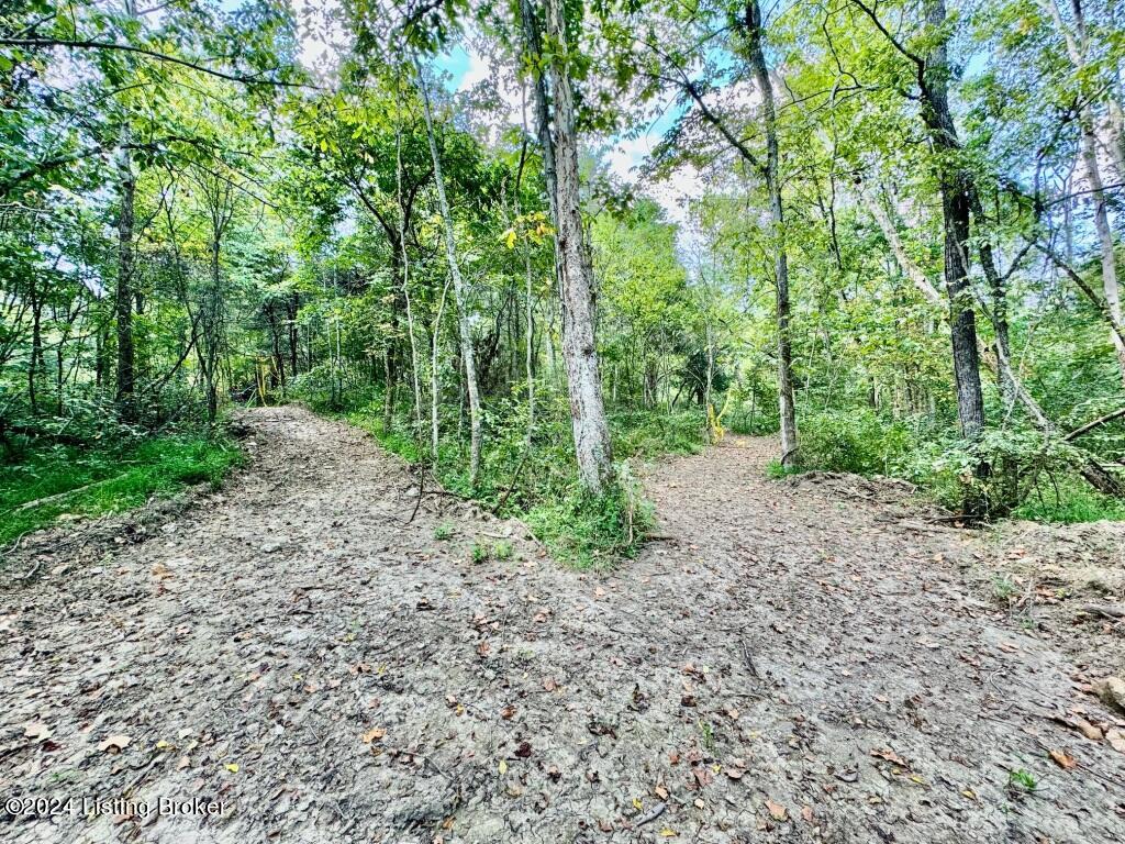 2411 Baker Ridge Road Willisburg, KY 40078 - Photo 35 of 74 032_IMG_9943