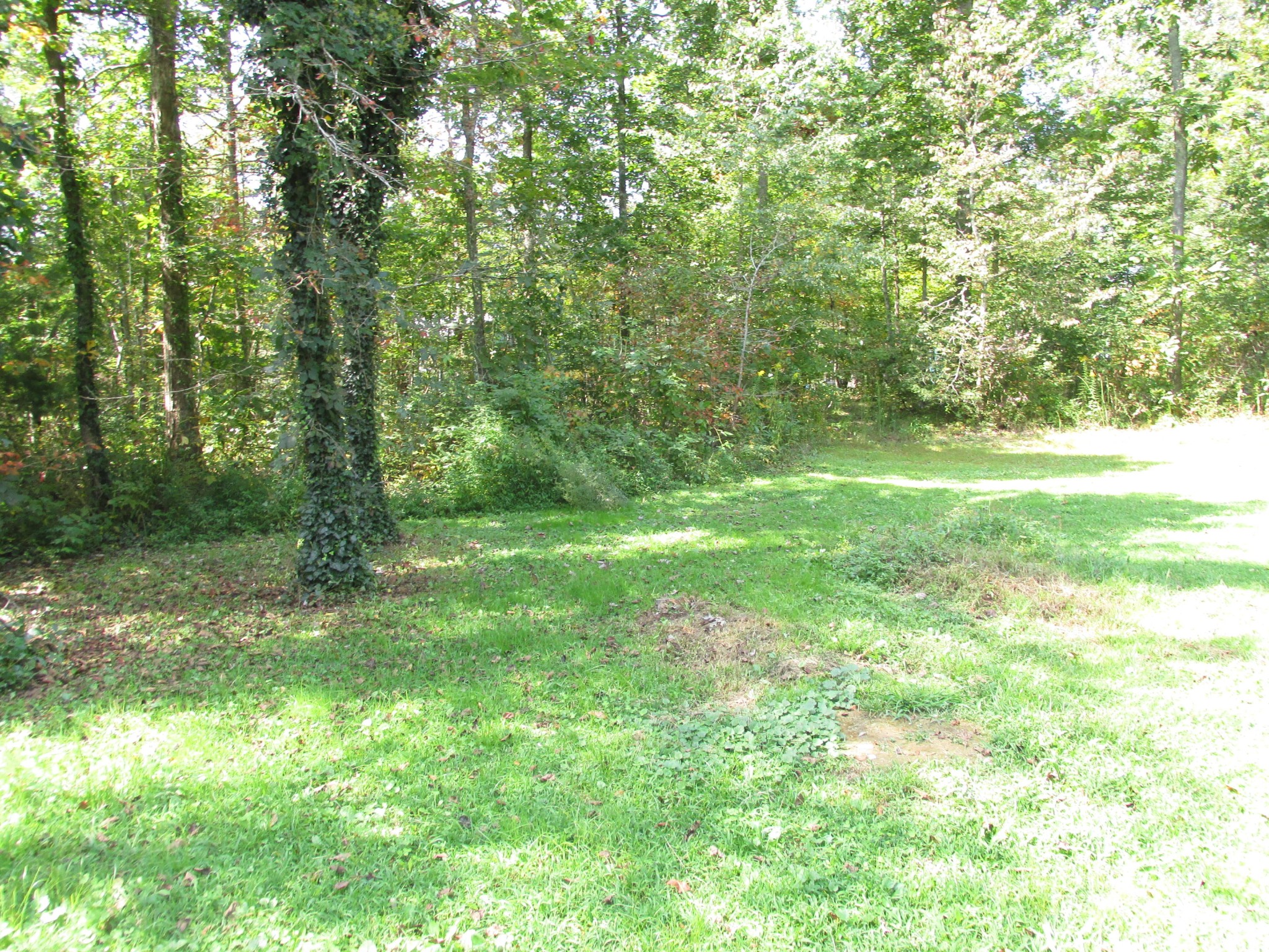 1099 Pine Ridge Lane Clarkrange, TN 38553 - Photo 11 of 20 Gallery Image 11