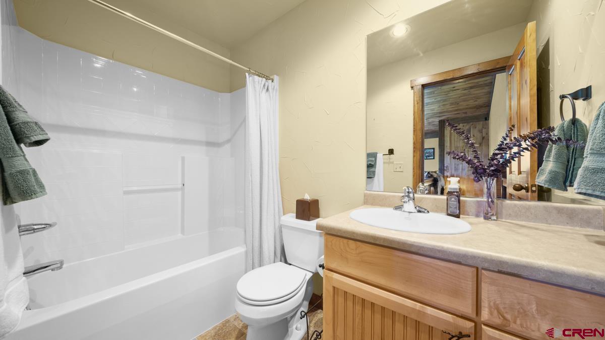 220 Ridge Road Cimarron, CO 81220 - Photo 20 of 45 a bathroom with a sink toilet and shower