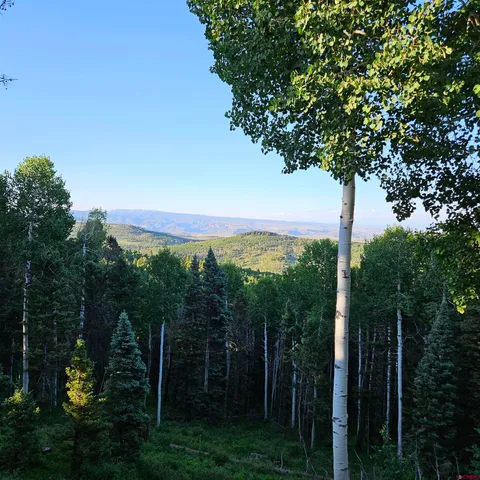 a view of a city with lush green forest