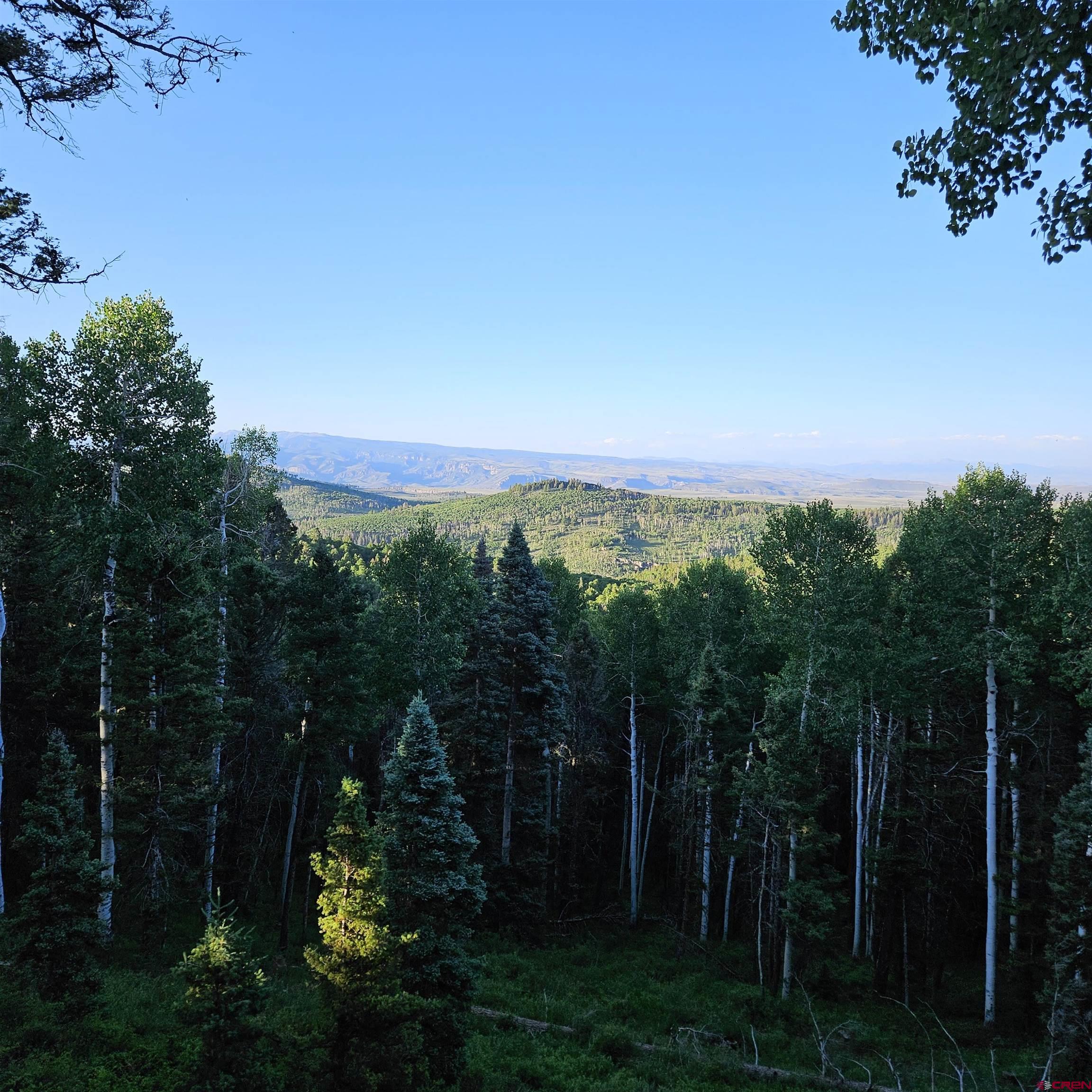 220 Ridge Road Cimarron, CO 81220 - Photo 31 of 45 a view of a city with lush green forest