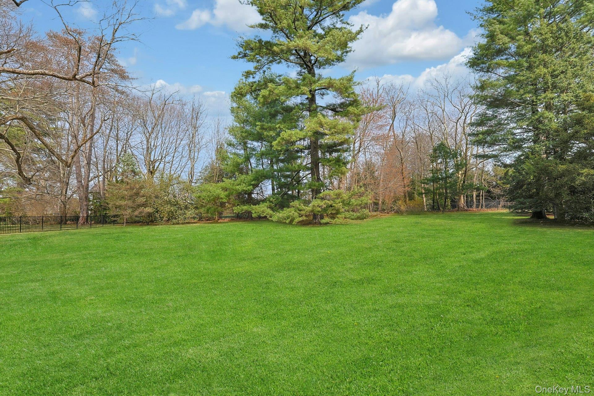 34 Park Road Scarsdale, NY 10583 - Photo 35 of 49 a view of a garden