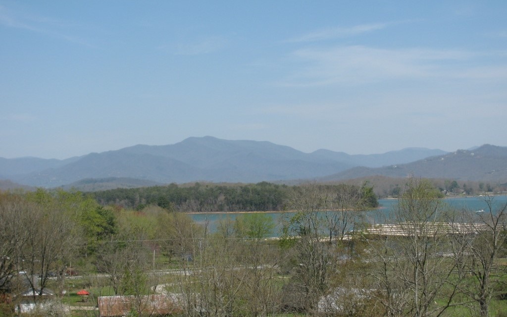 Main View