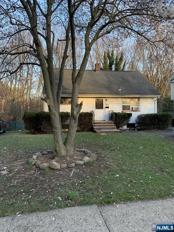 743 Newcomb Road Ridgewood, NJ 07450 - Photo 3 of 19 a view of a yard with plants and a large tree
