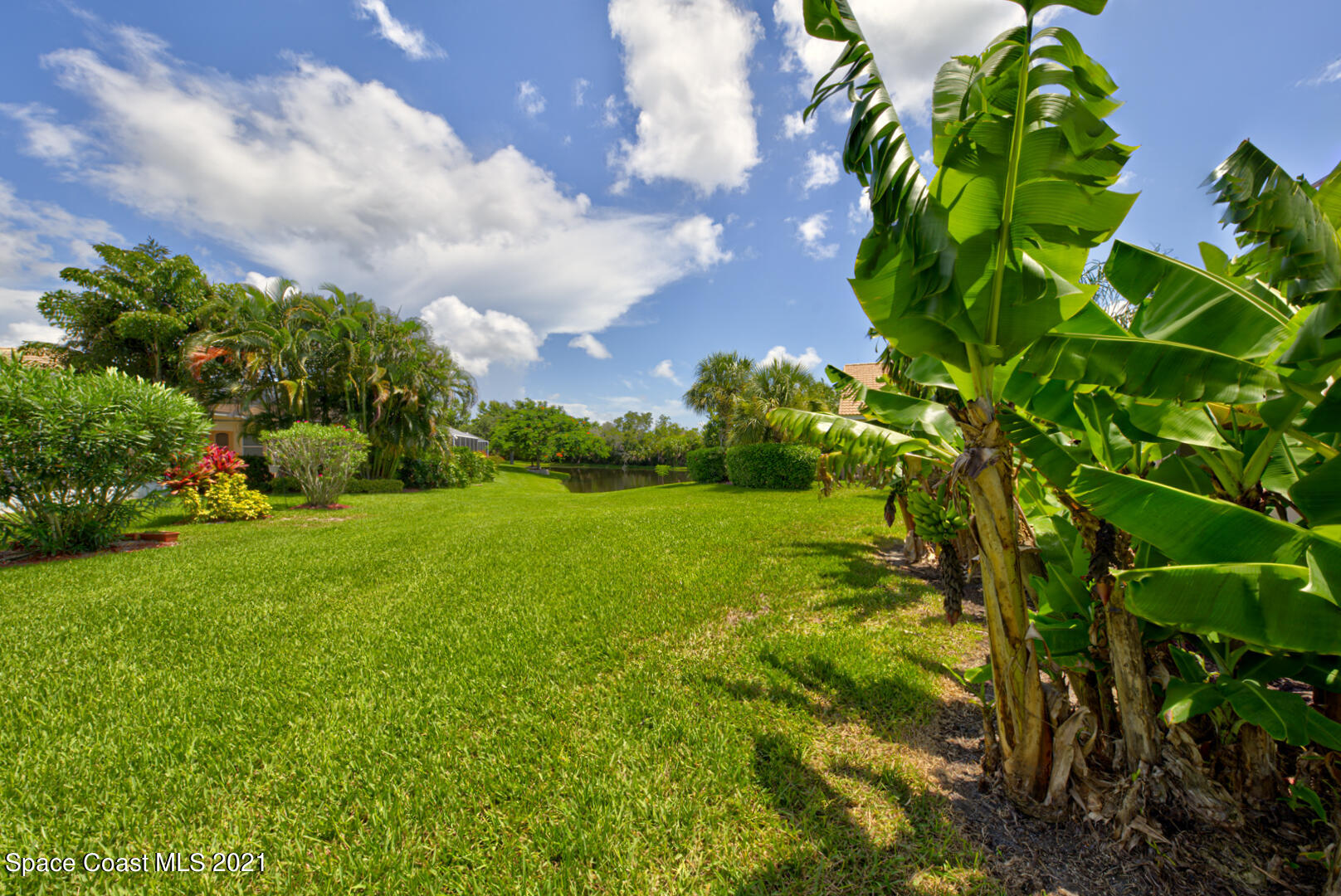 8206 Simpkins Way Melbourne, FL 32940 - Photo 66 of 66 back yard (1)