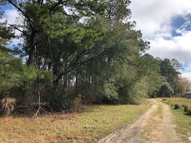 46360 Milton Road Hammond, LA 70401 - Photo 1 of 4 Gallery Image 1