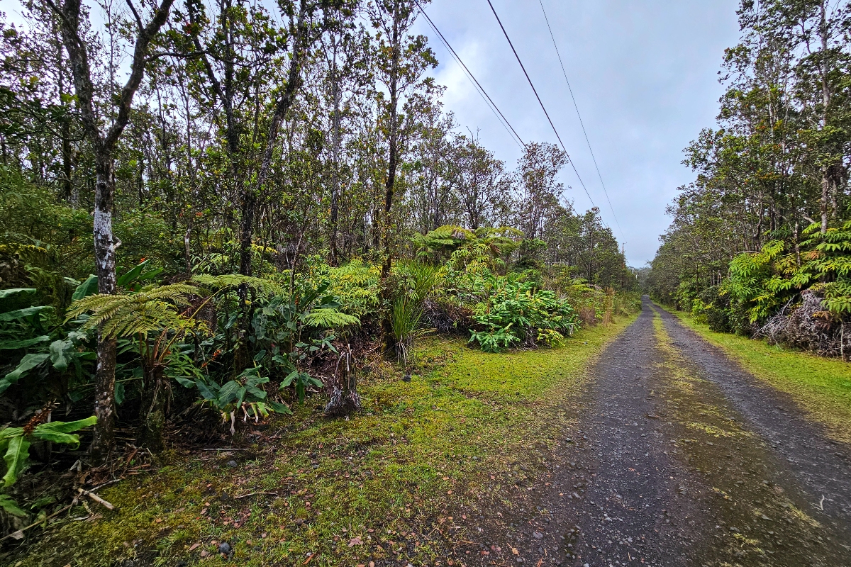 8758 Kilihune Road Pahoa, HI 96778 - Photo 2 of 9 a view of a large yard with plants and large trees