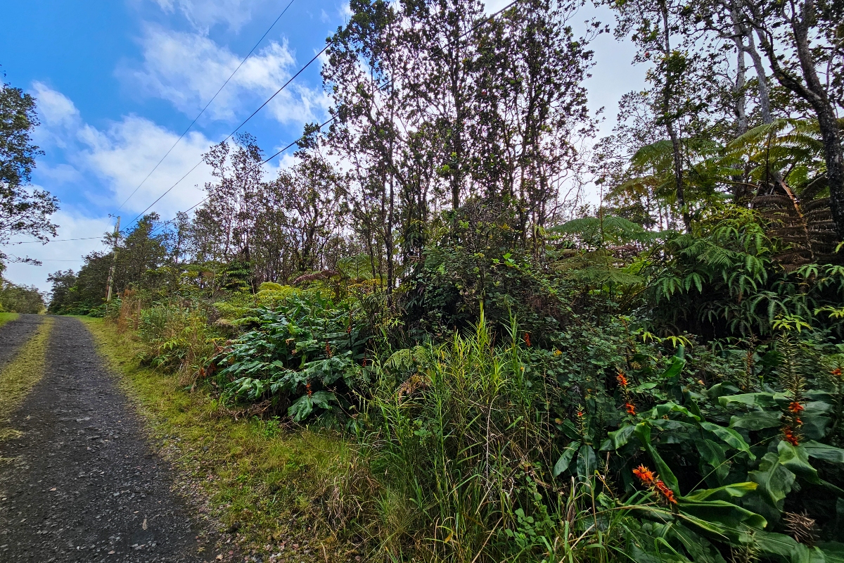 8758 Kilihune Road Pahoa, HI 96778 - Photo 3 of 9 a view of a garden