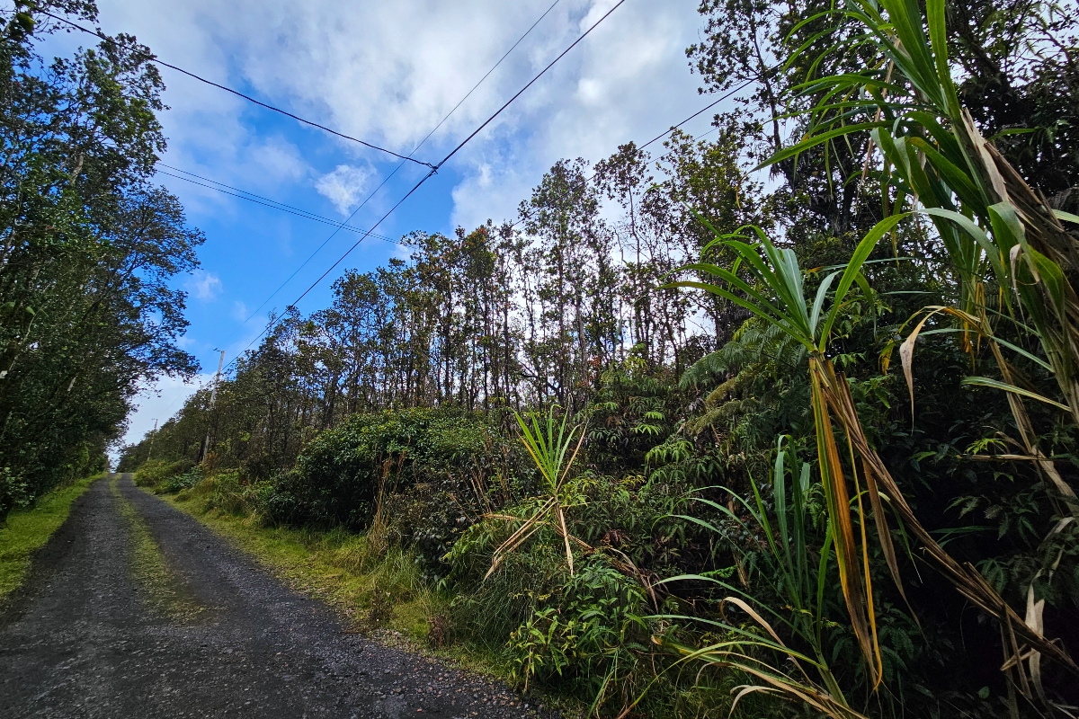 8758 Kilihune Road Pahoa, HI 96778 - Photo 6 of 9 a view of a yard