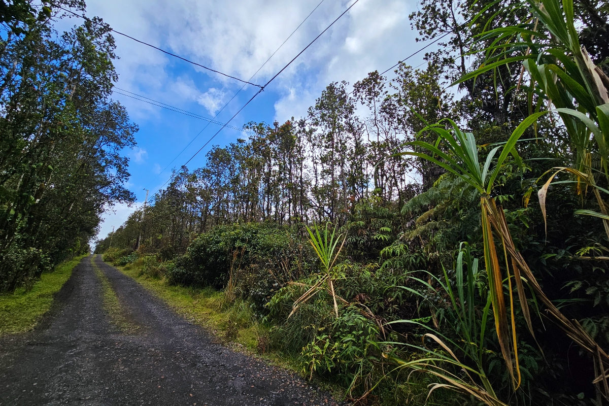 8758 Kilihune Road Pahoa, HI 96778 - Photo 7 of 9 a view of a garden