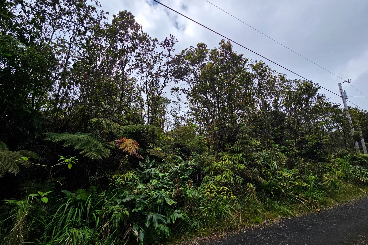 8758 Kilihune Road Pahoa, HI 96778 - Photo 8 of 9 a view of a yard
