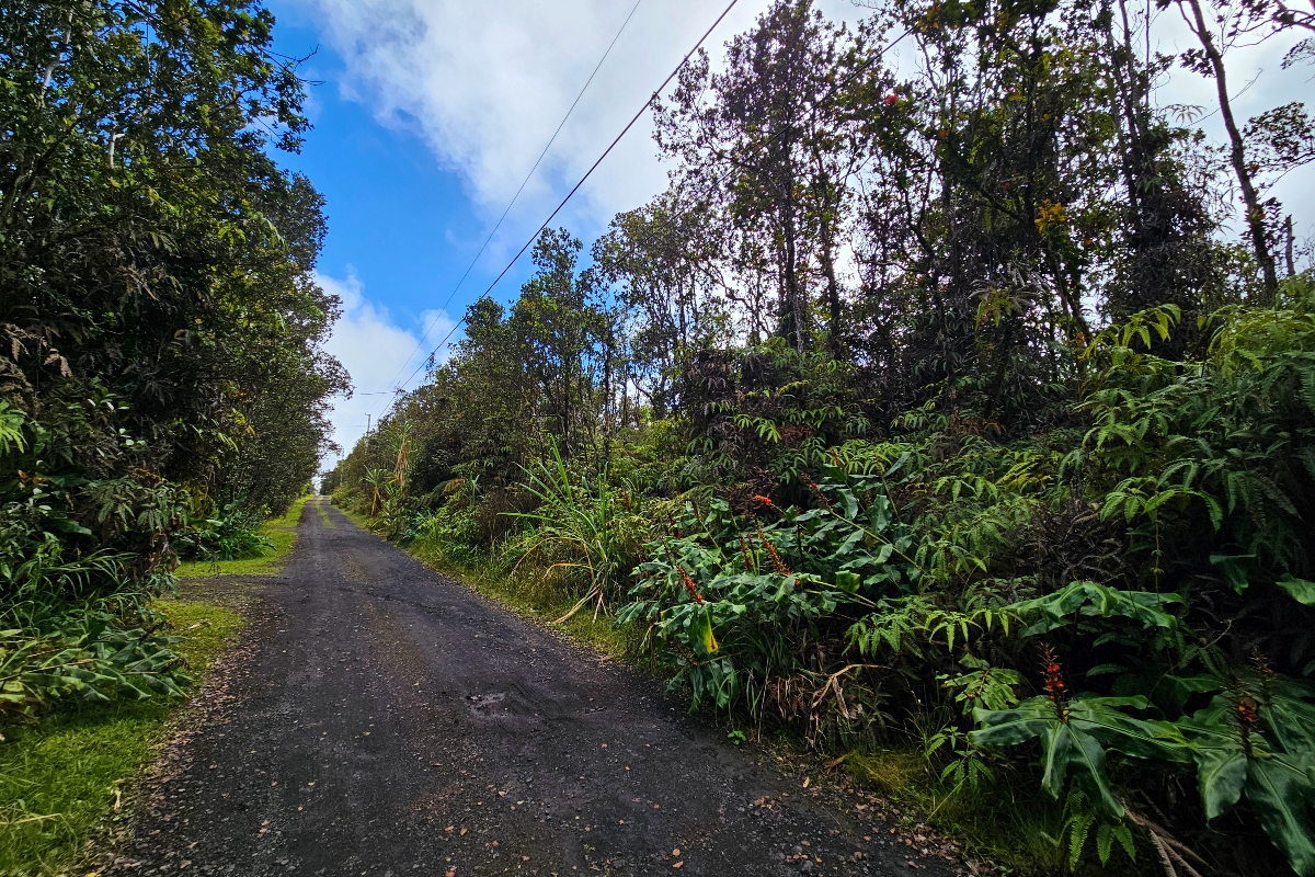 8758 Kilihune Road Pahoa, HI 96778 - Photo 9 of 9 a view of a yard with plants and large trees
