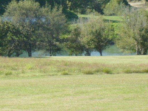 Buck Hollow Road New Market, TN 37820 - Photo 1 of 11 20130828010836912492000000-o