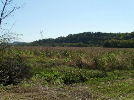 Buck Hollow Road New Market, TN 37820 - Photo 11 of 11 20130828010837161413000000-o