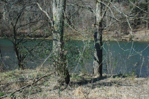 Buck Hollow Road New Market, TN 37820 - Photo 4 of 11 20130827135105804274000000-o