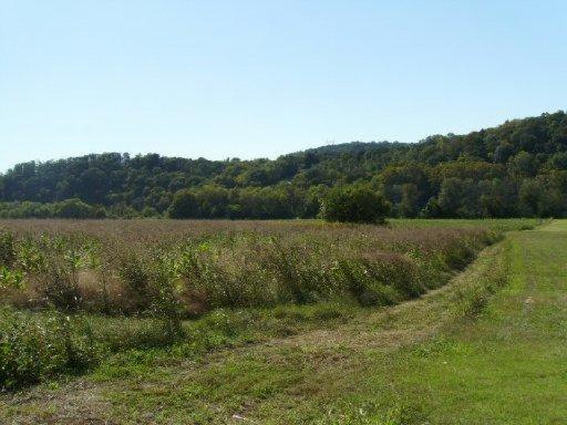 Buck Hollow Road New Market, TN 37820 - Photo 5 of 11 20130828010837081711000000-o