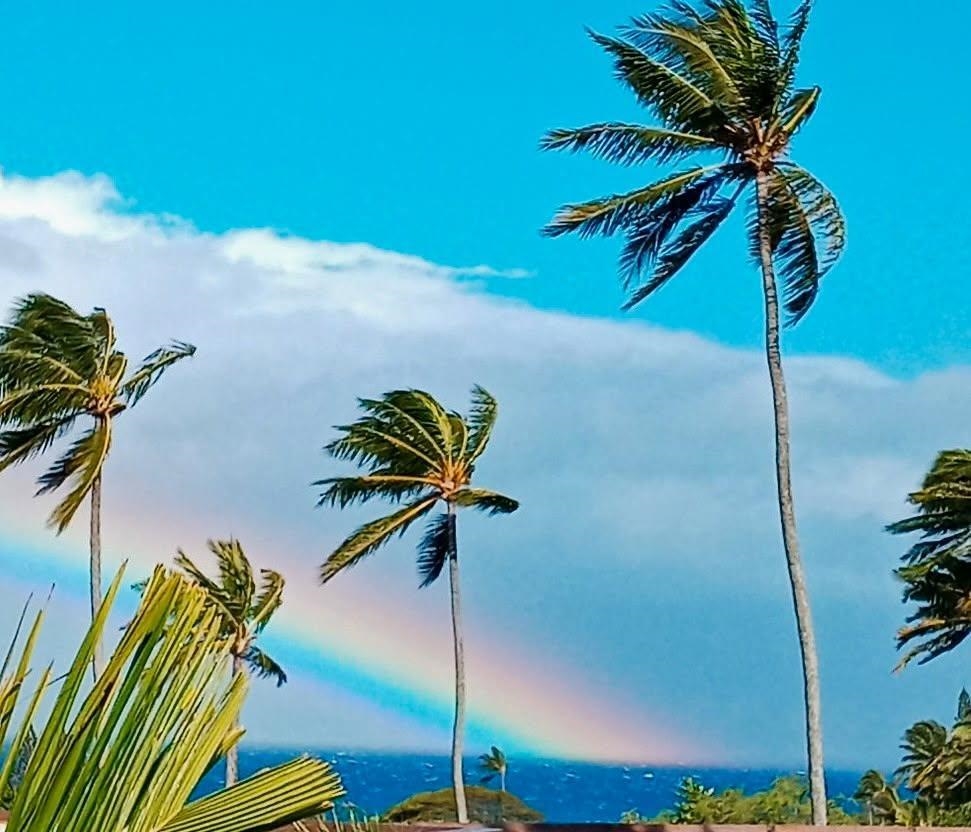 120 Hui Rd F, Unit I16 Lahaina, HI 96761 - Photo 1 of 28