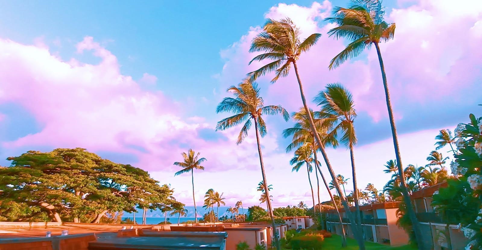 120 Hui Rd F, Unit I16 Lahaina, HI 96761 - Photo 2 of 28 a view of a palm tree with sky view