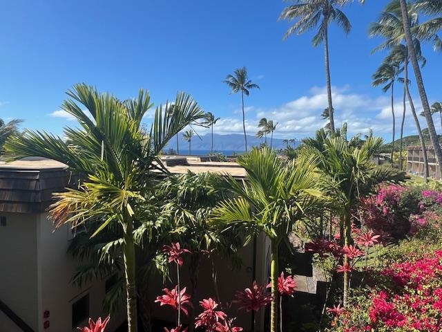 120 Hui Rd F, Unit I16 Lahaina, HI 96761 - Photo 3 of 28 a view of a palm tree with palm trees