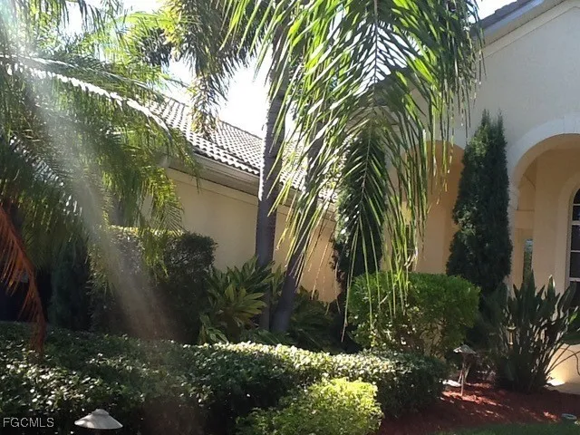 a plant that is in front of a house