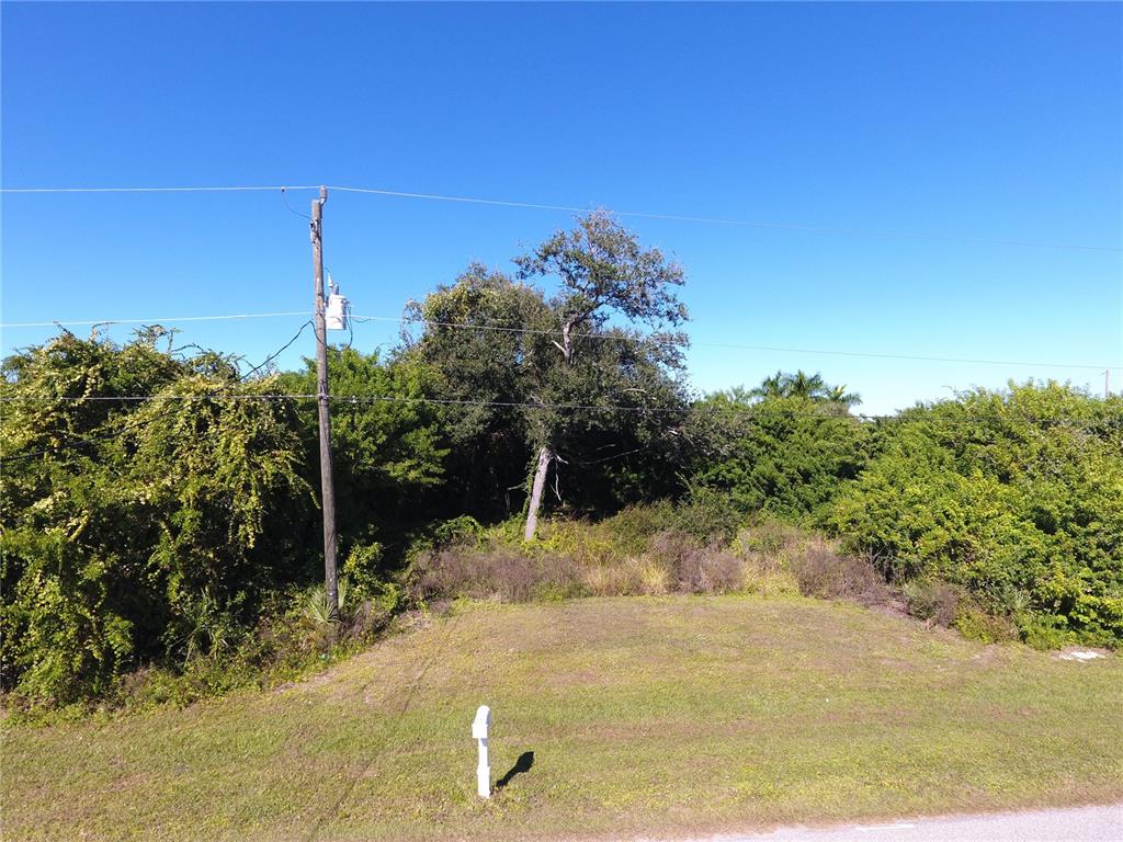 394 Albatross Road Rotonda West, FL 33947 - Photo 2 of 5 a view of a yard with a tree