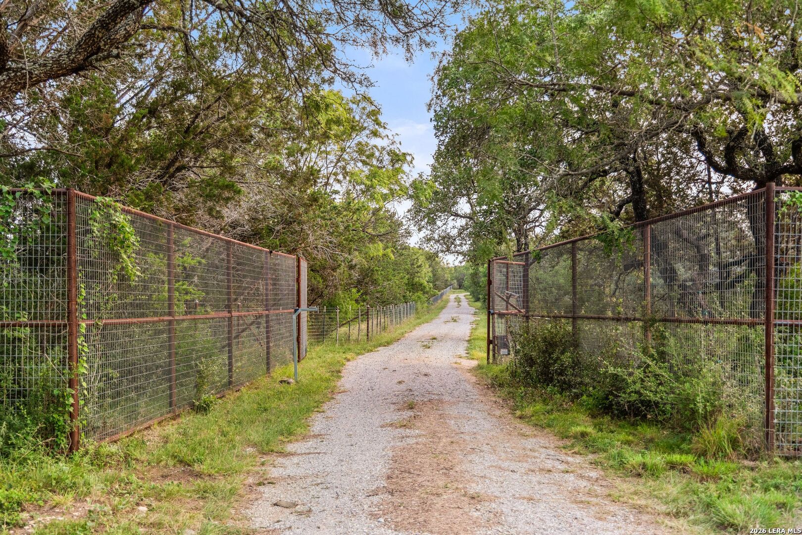 3402 Mormon Mill Road Marble Falls, TX 78654 - Photo 29 of 29 a backyard of a house with lots of green space