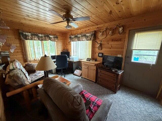 14784 South Rue Des Roches Row Barbeau, MI 49710 - Photo 25 of 52 Gallery Image 25