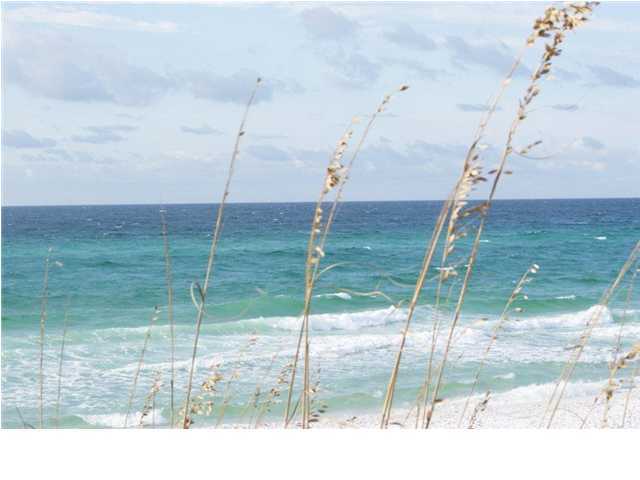 14 Magnolia Creek Road Santa Rosa Beach, FL 32459 - Photo 28 of 32 Gallery Image 28