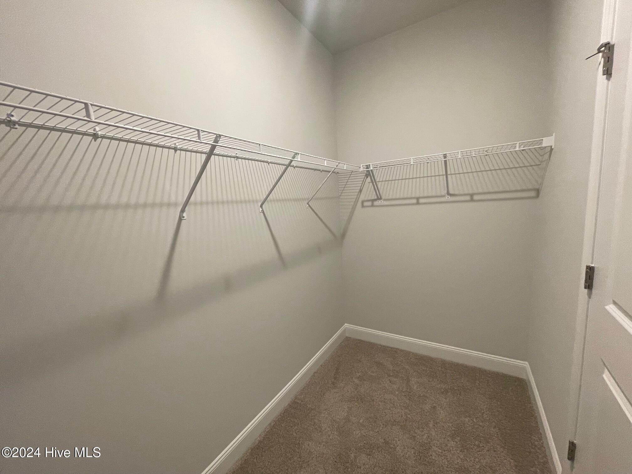 4160 Coolwater Drive, Unit LOT17 Bailey, NC 27807 - Photo 14 of 25 Walk in Closet