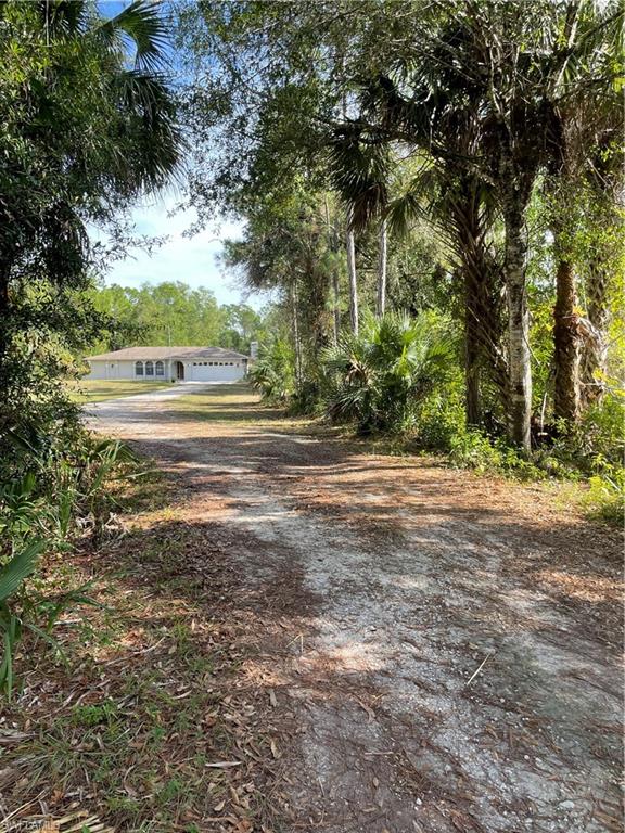 540 2nd Street Southeast Naples, FL 34117 - Photo 27 of 27 a view of a yard with large trees