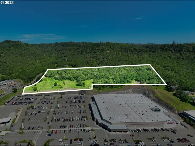 a view of a back yard