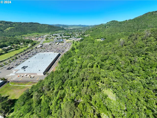 a view of a lush green field