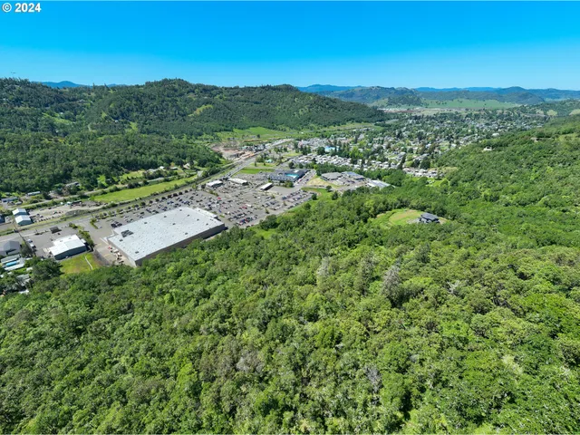 a view of a city with lush green forest