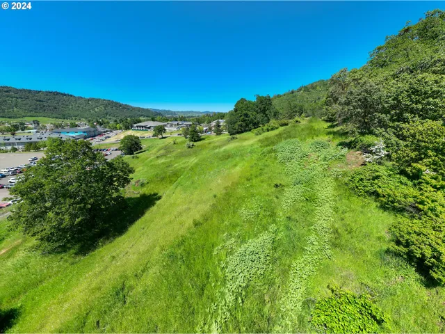 a view of a green field with lots of bushes