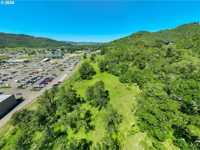 a view of a city with mountains in the background