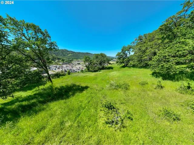 a view of a lush green space