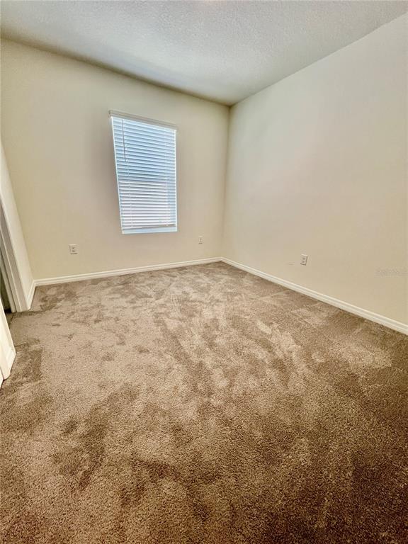 32557 Turtle Grace Loop Wesley Chapel, FL 33545 - Photo 20 of 35